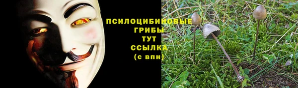 гашиш Аркадак