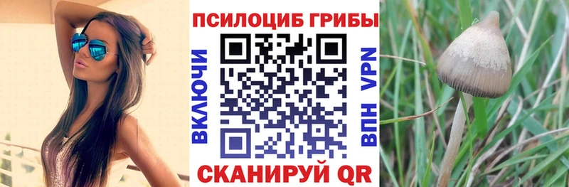 Галлюциногенные грибы GOLDEN TEACHER shop наркотические препараты Армянск